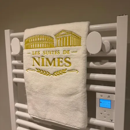 Les Thermes Romains De Appartamento Nîmes
